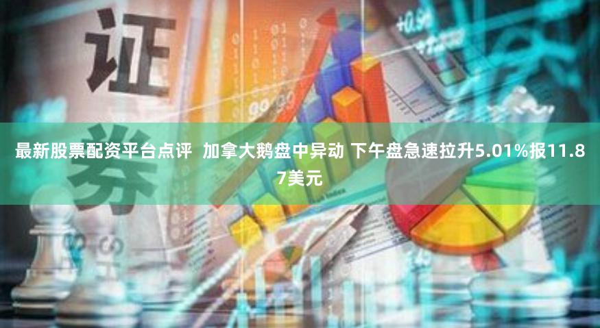 最新股票配资平台点评  加拿大鹅盘中异动 下午盘急速拉升5.01%报11.87美元